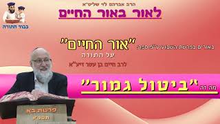 מה זה ביטול גמור? - פרשת בא - הרב אברהם לוי שליט''א (''לאור באור החיים'') (הרב שלמה לוינשטיין) - התמונה מוצגת ישירות מתוך אתר האינטרנט יוטיוב. זכויות היוצרים בתמונה שייכות ליוצרה. קישור קרדיט למקור התוכן נמצא בתוך דף הסרטון מה זה ביטול גמור? - פרשת בא - הרב אברהם לוי שליט''א (''לאור באור החיים'') (הרב שלמה לוינשטיין) - התמונה מוצגת ישירות מתוך אתר האינטרנט יוטיוב. זכויות היוצרים בתמונה שייכות ליוצרה. קישור קרדיט למקור התוכן נמצא בתוך דף הסרטון