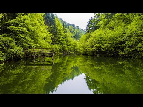 Tajnoviti park prirode Tajan. - Dron.ba za N1