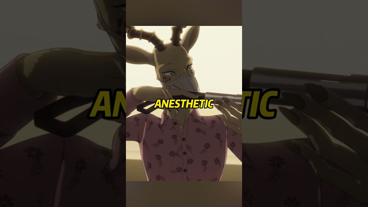 BEASTARS:  How did Melon kill the elephants?#anime #funny #animals #animation #funny #fun #beastars