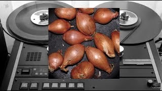 Ty Segall - Is It Real