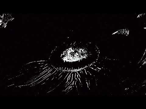 Video thumbnail for On Holiday With Infinity