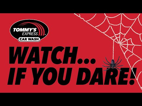 Tunnel of Terror® Teaser 2024 | Tommy's Express Car Wash