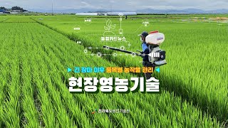 [ 현장영농기술 ] 긴 장마 이후 품목별 농작물 관리