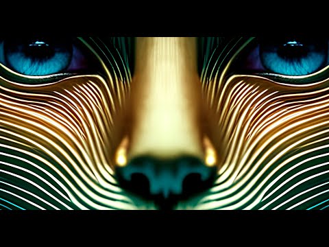 Visua - Successful feat. Antidota