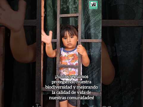 Life Web II, Panimaché I y II, Morelia, y Santa Sofía, San Pedro Yepocapa, Chimaltenango