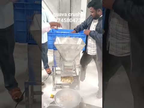 Fruit Crusher