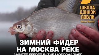 Зимний фидер на москва реке