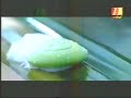Iklan Giv Yoga Ft Sophia Latjuba 2004 ANTV RCTI SCTV Indosiar