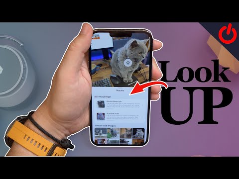 Visual Look Up - Use your iPhone to identify plants, animals and landmarks