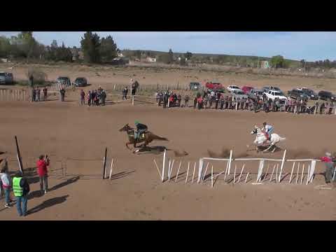 CHASQUI  Club Hipico "Viento Sur"   Cutral Co 25-09-2022