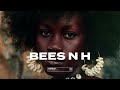 Afro POP Instrumental 2025 Bees Ans Honey Wizkid X Tems Type Beat