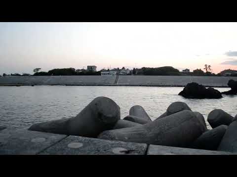 Shobutahama Public Beach