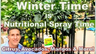 Citrus, Avocado & Mango WINTER-TIME Nutritional Spray | Repel Starving Rodents From GIRDLING Trees
