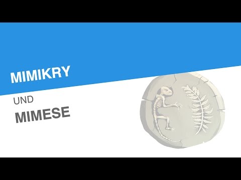 MIMIKRY UND MIMESE | Biologie | Evolutionsbiologie