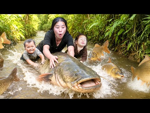 Catching 150kg Monster Catfish & Giant School of Carp by Hand to Sell at the Market with my Children