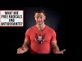 Truth About Antioxidants - Broscience and Detoxing