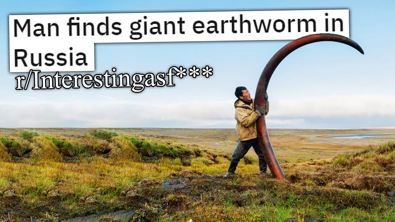 r/Interestingasf*** | that's INSANE