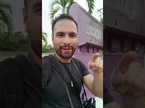En Puerto Rico (Meta), las toninas son animales emblemáticos