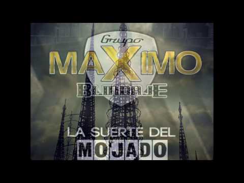Maximo Blindaje - El Shaks 2017