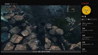 ブランドボーン　マルチ！！！！！！