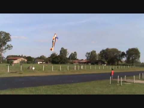 Muriaero visita Rio Claro - Batatinha Extra Amarelo