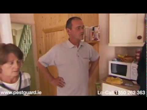 download lagu mp3 mp4 Rat Control Louth, download lagu Rat Control Louth gratis, unduh video klip Rat Control Louth