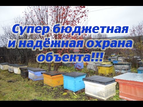 Установил охранную сигнализацию с Алиэкспресс и её тест. A security alarm.