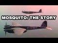 Mosquito The Story