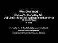Was (Not Was) (Return To The Valley Of) Out Come The Freaks 12" Remix