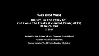 (Return to the Valley of) Out Come the Freaks Music Video
