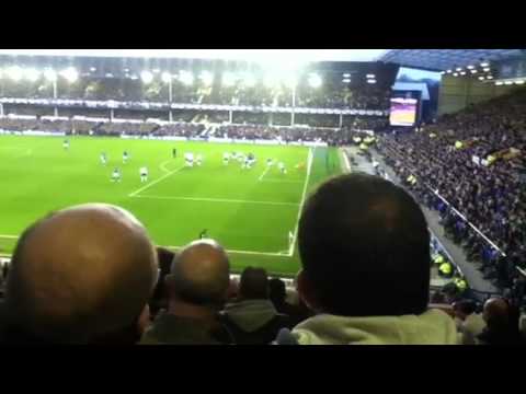 Jelavic first Everton free kick!