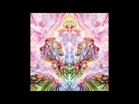 Angry Luna - Perfect Happiness