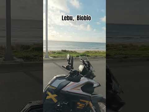 Región del Biobío, Provincia de Arauco. LEBU.