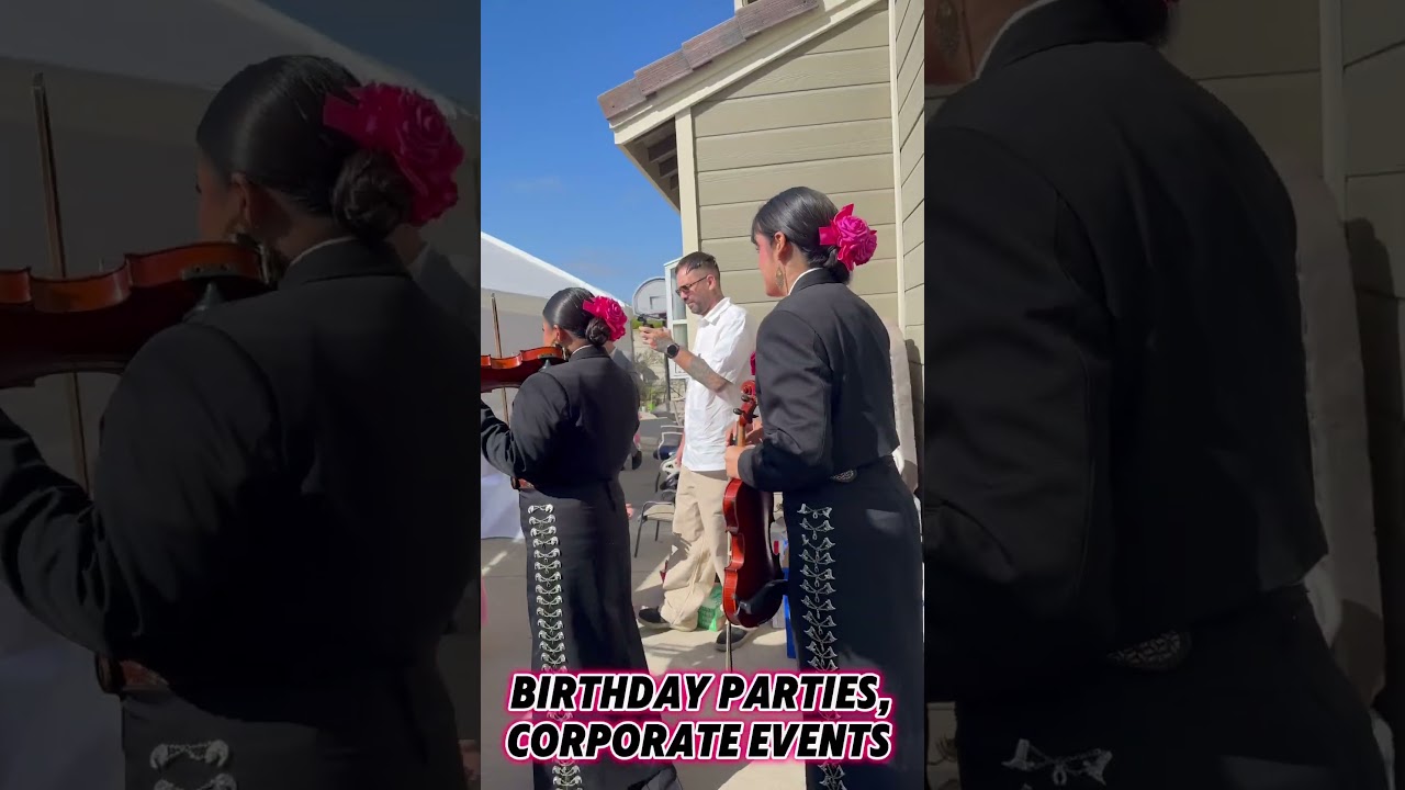 Promotional video thumbnail 2 for Rosa Negra Mobile Cantina