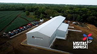 Danilo Medina habla a los jóvenes productores de piña en Monte Plata