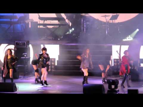 Brown Eyed (Fan cam)