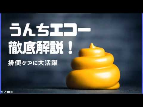 排便について詳しく解説