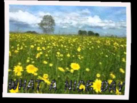 Nice Day ~ Ralf Mackenbach ~ Eigen 'clipje'