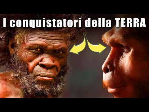 Where Did We Come From? The Last 2 Million Years of Human Evolution