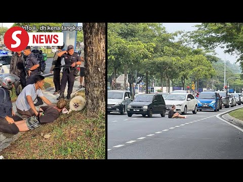 A ‘ruff’ day out: Foreign (Russian) woman with pet dog arrested for