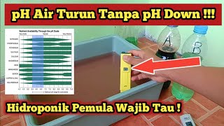 Download lagu How to Lower Water pH Without pH Down - The Importance of Hydroponic Water pH mp3