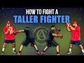 How To Fight A Taller Fighter In Boxing