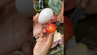 Download lagu This is how it ends so dead end #atthefootofthemountain #cooking #villagelife mp3