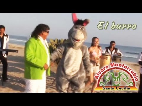 Alvaro Monterrubio y su Santa Cecilia - El Burro (Videoclip Oficial)