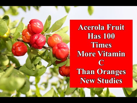 Acerola Fruit Has 100 Times More Vitamin C Than Oranges - New Studies