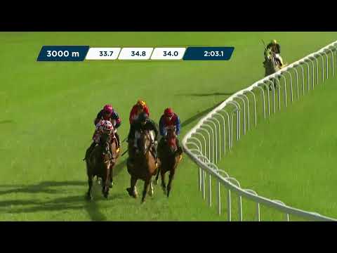 NAGRODA WIELKIEGO SZLEMA – (KAT. B) 10.09.2023 - (Dzień 31; Gonitwa 7)