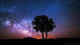 Jefferson Airplane ✪ Freedom