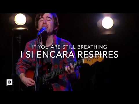 El Meu Lament - Ferran Palau