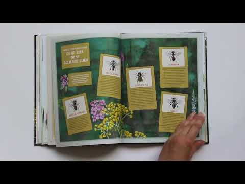 Handboek voor Bijenfans