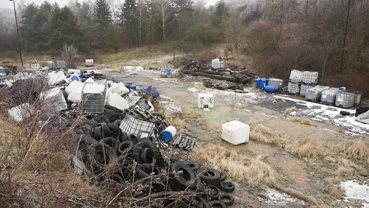 Verursacher zur Kasse bitten: Wie können wir Umweltkriminelle stoppen?